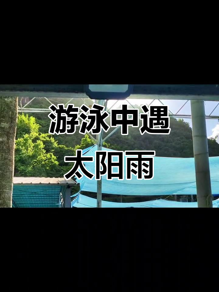 关于游泳比赛惊现逆转奇观选手颠覆传统取胜的信息