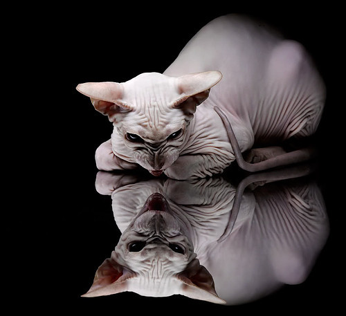 世界排名争夺战之夜，萨拉赫关键制胜，谱写传奇新章