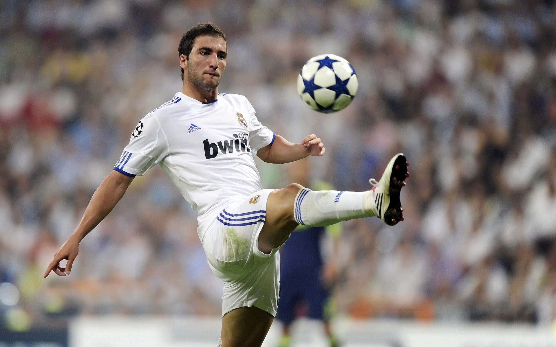 跨越疆界的胜利，从新疆狂胜到武切维奇欧冠接管，体育精神的无界共鸣